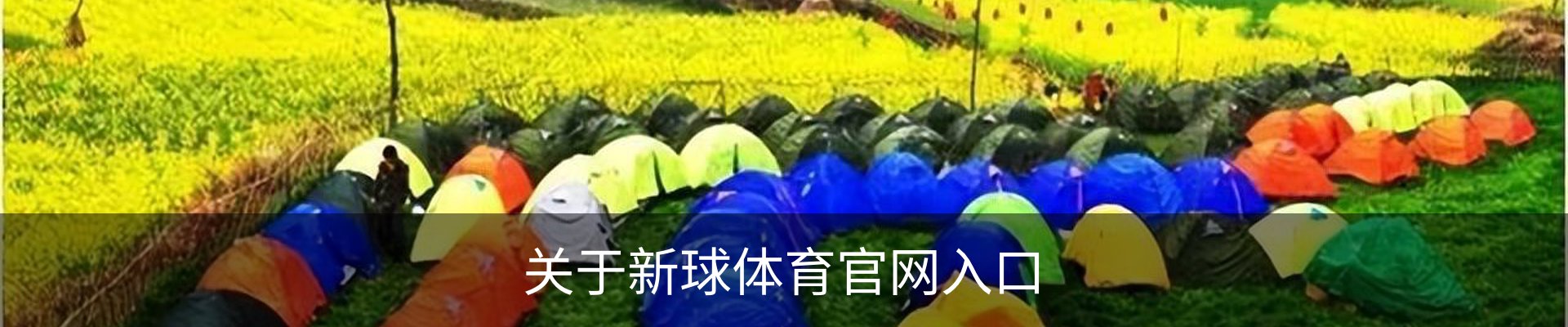 内页banner