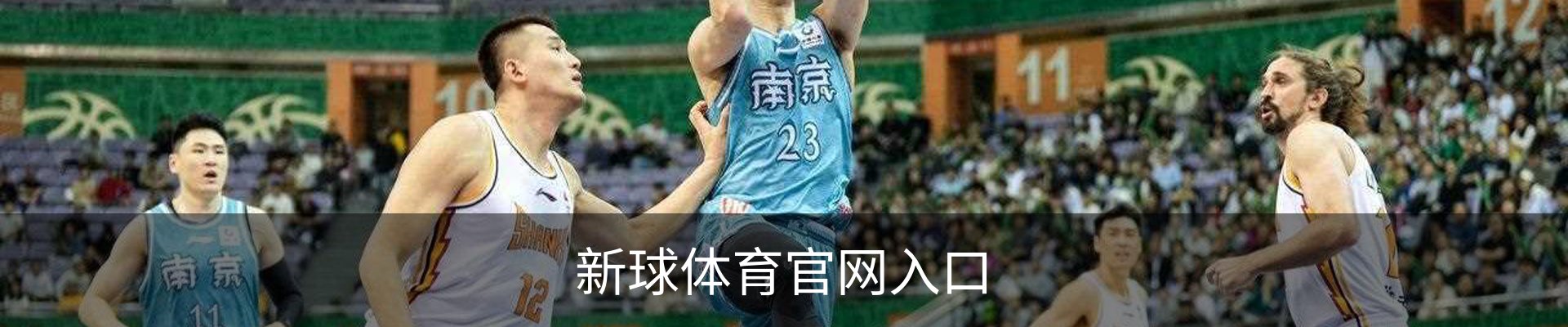 新球体育官网入口